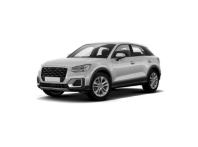 audi q2 dalys